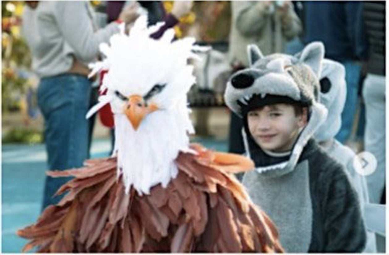 Thread image preview