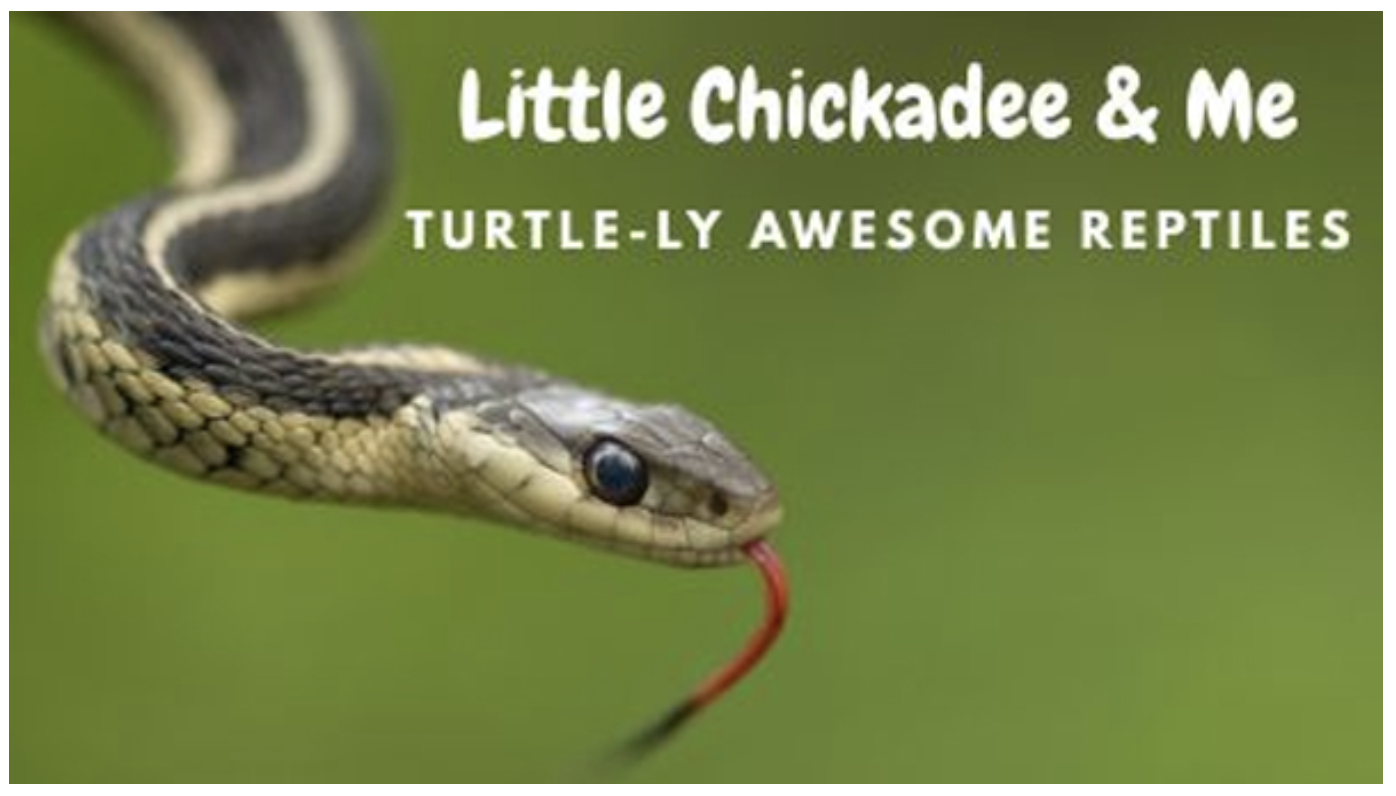 Little Chickadee & Me: Turtle-ly Awesome Reptiles